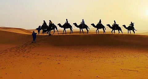 A camel caravan in the Sahara. Photo: Wikipedia