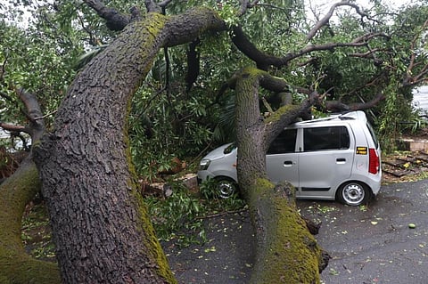 A storm-battered street in Goa during Cyclone Tauktae's rampage. Photo: Parthasarathi Rout/Twitter