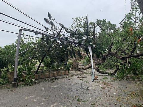 A scene from a Kolkata street after the Cyclone Amphan in 2020.