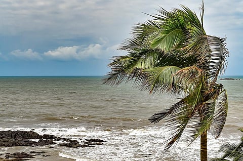 Monsoon reaches Bay of Bengal; Kerala onset on May 31: IMD