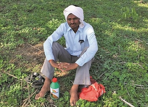Glyphosate is a lethal, carcinogenic pesticide. Credit: Vibha varshney/CSE