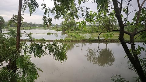 Cyclone Yaas aftermath: Bengal farmers worry on how to carry on
