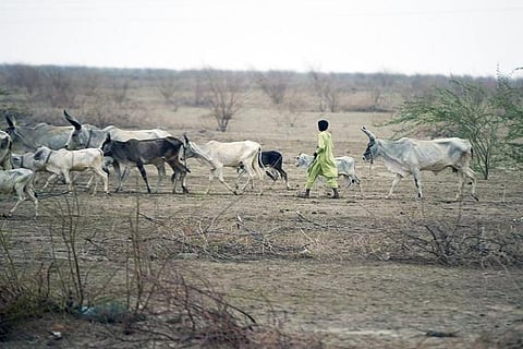 हर साल सूखा, मरुस्थलीकरण और भूमि क्षरण की भेंट चढ़ जाती है 1.2 करोड़ हेक्टेयर से ज्यादा भूमि