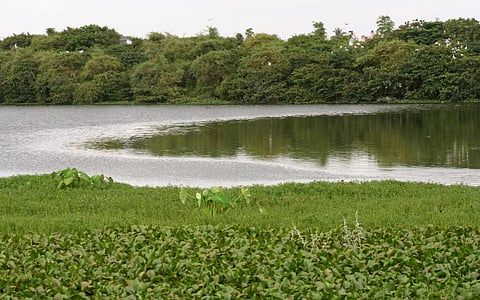 Karnataka revives dying lakes: Why a decentralised governance was long overdue