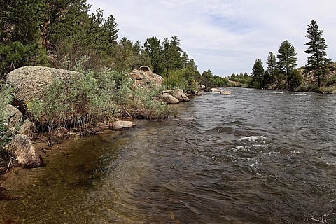 Photo : Wikimedia Commons