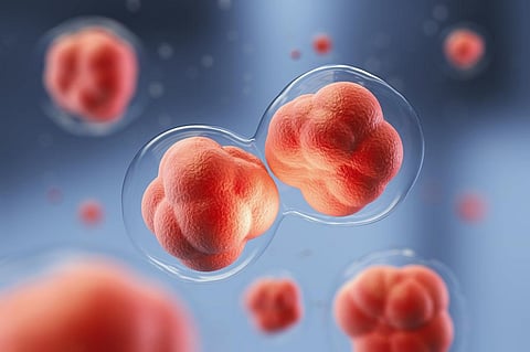 Limits for human embryo research have been changed : This calls for public debate
