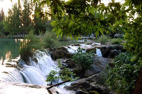 Photo : Wikimedia Commons