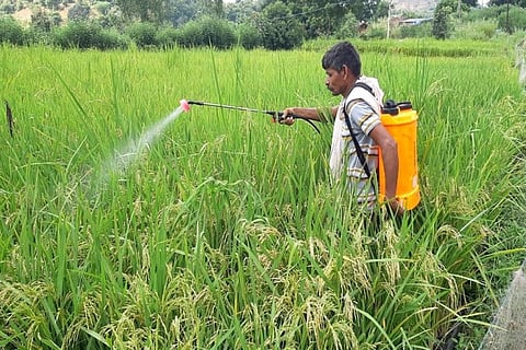 Photo: Suraj Mondal