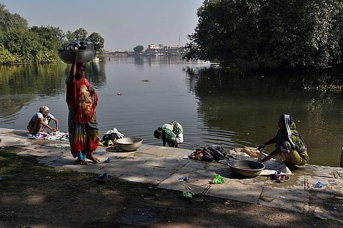 How our detergent footprint is polluting aquatic ecosystems