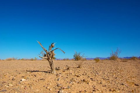 EU’s new climate proposal is vast. But is it transformational?