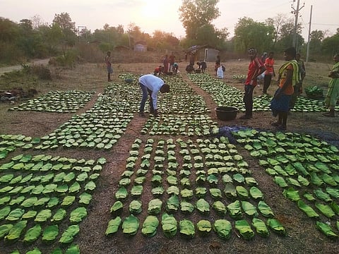 Kendu leaves: 29 Odisha villages win complete autonomy, but still a long way to go