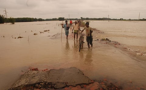 Early, repeated floods wreaked havoc on north Bihar farms