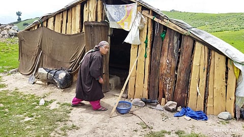 Shelterless Kashmiri pastoralists denied benefits of Forest Rights Act