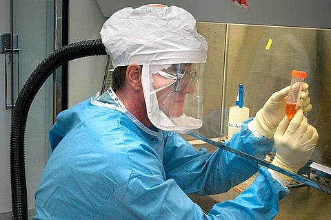 More global trials for 3 COVID-19 drugs: WHO