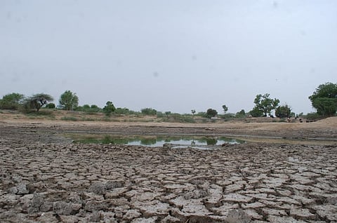 राजस्थान के पाली जिले में बारिश न होने के कारण सूखे जैसे हालात बन गए हैं।