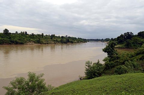 Illegal sand mining, constructions endanger Son gharials