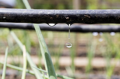 Can solar pumps save groundwater while cutting debt of power cos?