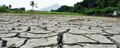 Land degradation in India hurts farmers and forest dwellers the most