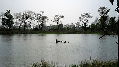 Over 20,000 water bodies freed from encroachment in Bihar for rainwater harvesting