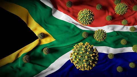 South African health experts have identified a new lineage of SARS-CoV-2: what’s known so far