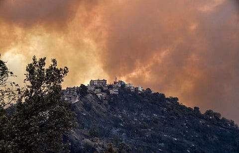 Algeria suffers from devastating wildfires, but faces big challenges in addressing them