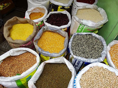 Why pulse production in India needs better incentives