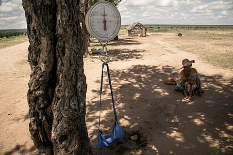 How climate change contributed to Madagascar’s food crisis