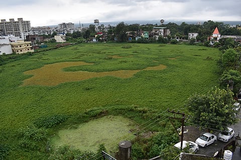 What is killing Uttarakhand’s small wetlands? Degraded Niranjanpur pond carves a live example