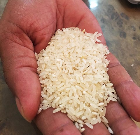 Folk rice: Researchers spot dozen Indian paddy varieties that can boost nourishment