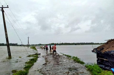 Paddy crops under rain water in Kendrapara district, Odisha. Photo: Ashis Senapati