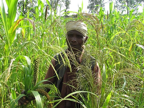 Dramatic changes needed in global food systems to address nutrition disparity, poverty: IFAD