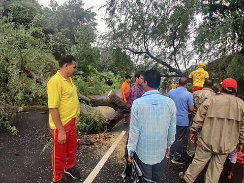 Cyclone Gulab: Excess rainfall, landslides in Odisha; national highways blocked