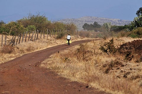 Investment to fight climate change: Three African countries need $280 billion by 2050