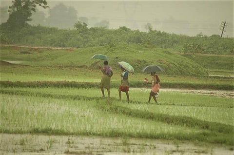 Sri Lanka’s inorganic transition to organic farming