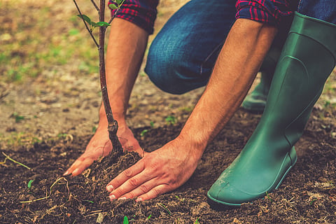 We can't stabilise the climate without carbon offsets — so how do we make them work?