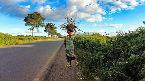 How socio-economic conditions shape renewable energy uptake in Zimbabwe