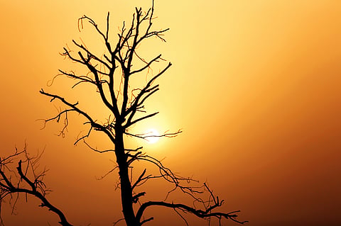 This September was the 5th warmest in 142 years: Report