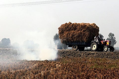Can biomass co-firing offer a viable solution to coal shortage and stubble burning?