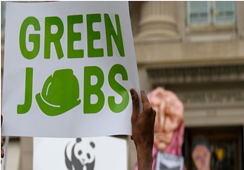 Fighting climate change: Why we need more policy experts, green jobs in India