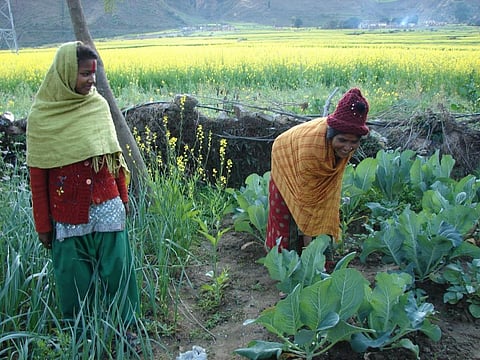 Local knowledge refined with tech & funds can help climate adaptation in Asia-Pacific: IFAD