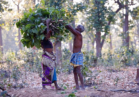 In Odisha’s Nayagarh, 24 villages receive community & forest resource rights