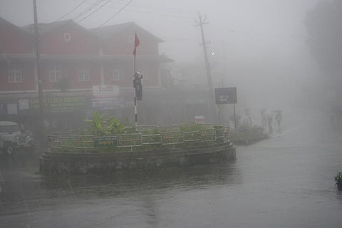 फोटो : विकिमीडिया कॉमन्स