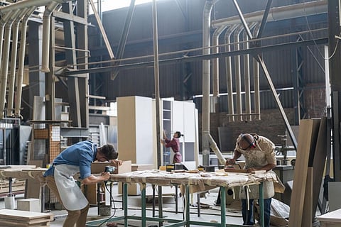 Renewable wood-based products can help combat climate change: FAO