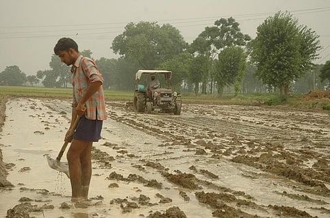 Climate crisis has cost India 5 million hectares of crop in 2021