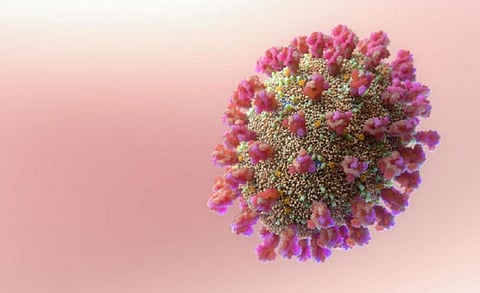 Global COVID-19 cases set to triple with over 3 billion omicron infections in coming 2-3 months: IHME