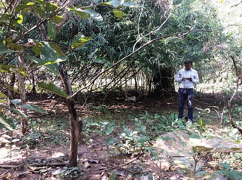 Tiger survey: Census work covers 400 sq km in Chhattisgarh’s Maoist territory