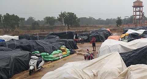 Over a million paddy bags damaged in the open in Odisha due to rain, hailstorm
