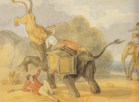 "The lion leaps from a rock onto the elephant, dislodging the howdah and knocking its occupant to the ground." Reference: D'Oyly, Sir Charles (1810–1815): MS WD4406, Album titled - Indian Sports, Vol. 2, depicting hunting scenes. British Library: Visual Arts, London
