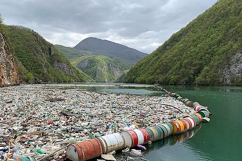 नदियों के मुहाने तक पहुंचा माइक्रोप्लास्टिक, जलीय प्रजातियां हुई प्रभावित: रिपोर्ट