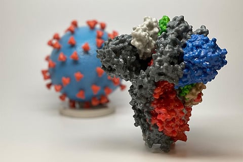 Experts believed that the absence of evidence did not allow us to identify exactly how the virus jumped into humans. Photo: Wikimedia Commons